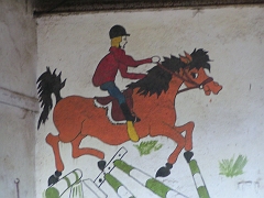 photos- chevaux etrier 037